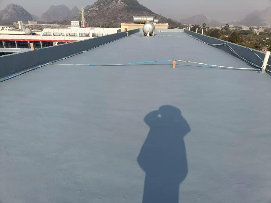广州屋顶防水补漏
